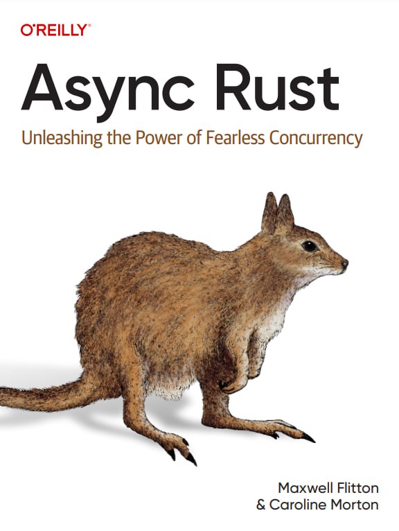 کتاب Async Rust