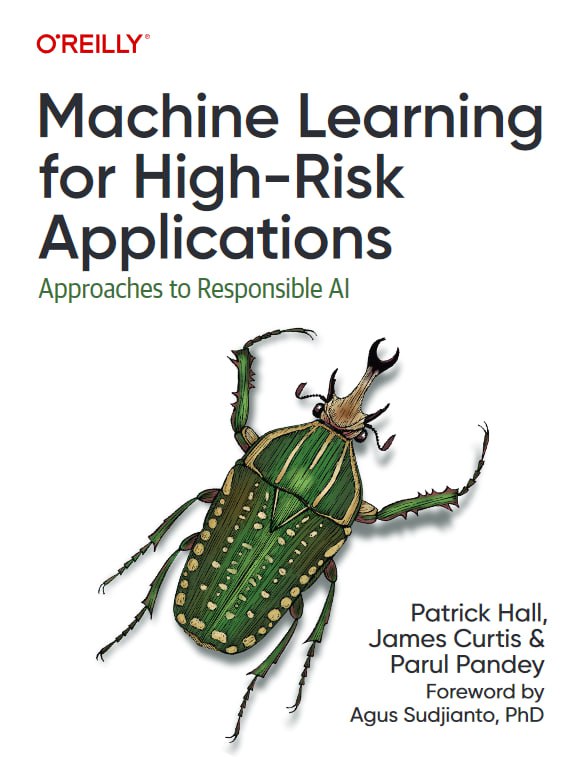 کتاب Machine Learning for High-Risk Applications