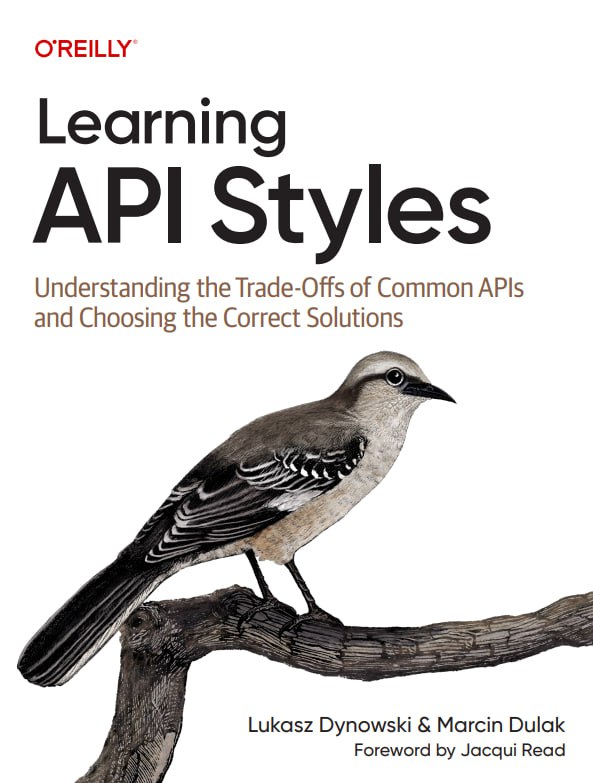 کتاب Learning API Styles