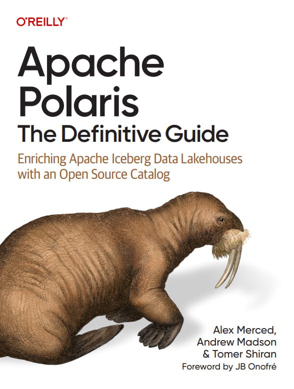 کتاب Apache Polaris