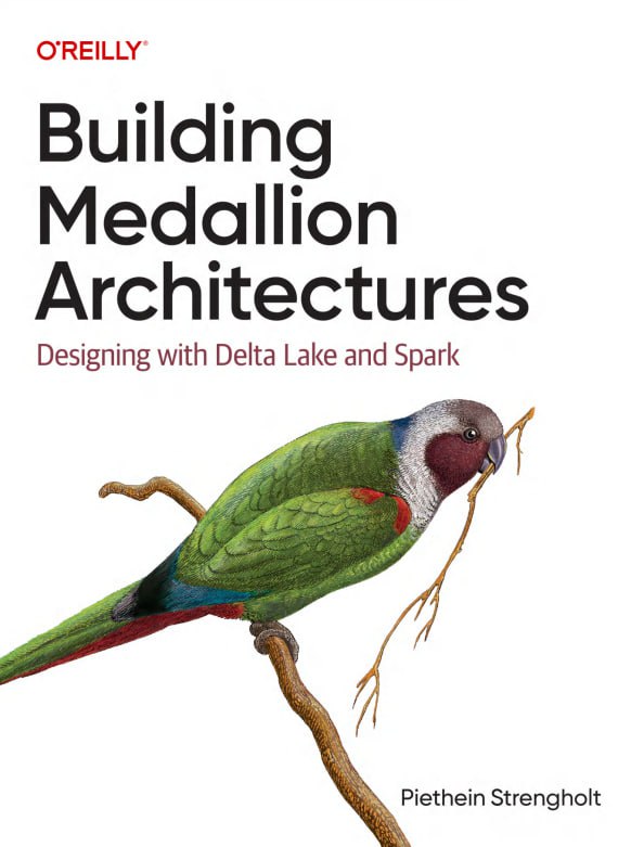 کتاب Building Medallion Architectures