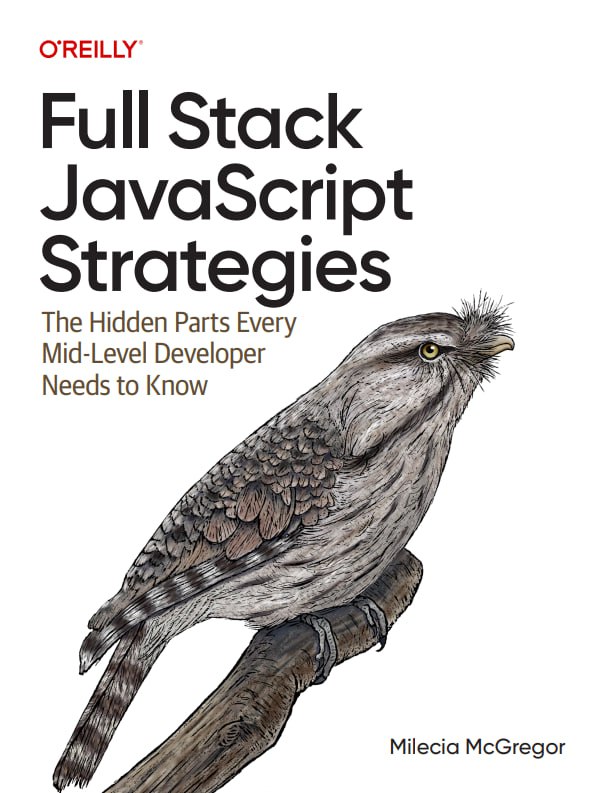 کتاب Full-Stack JavaScript Strategies