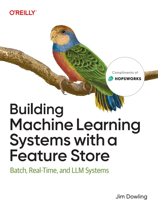 کتاب Building Machine Learning Systems with a Feature Store